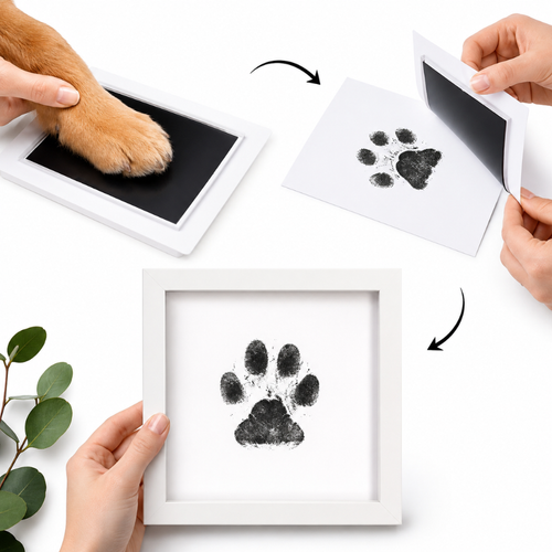 Pawfect Little Memory